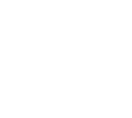 Microelectronic Design